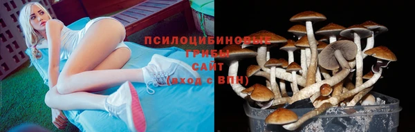 ECSTASY Алексеевка