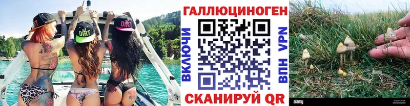 Псилоцибиновые грибы мицелий  Вологда 