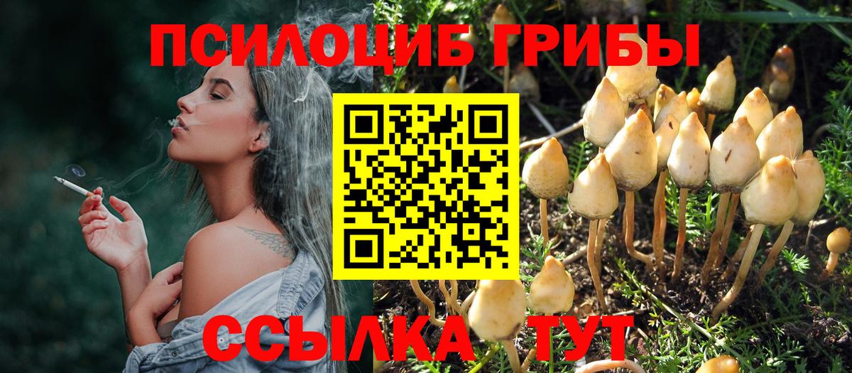 Псилоцибиновые грибы Psilocybe  Псилоцибиновые грибы ЛСД  Вход с VPN  как найти   Вологда 