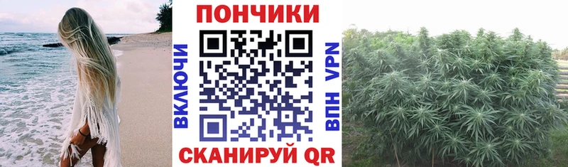 Каннабис сатива Вологда