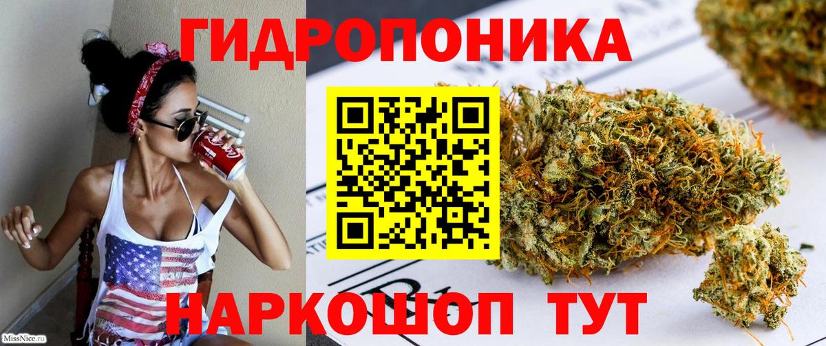 Вологда  Бошки Шишки индика  Вход с VPN  Марихуана White Widow 